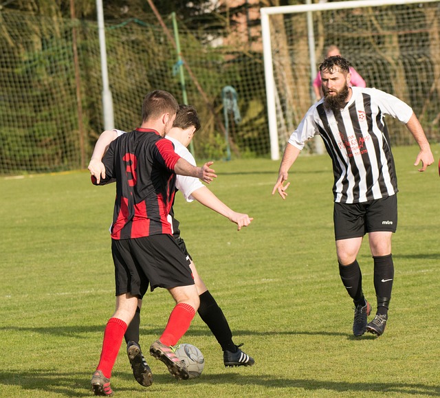 在足球的绿 在足球的绿