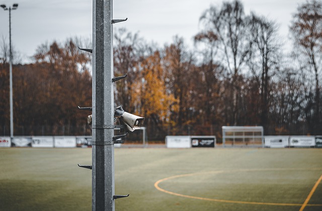 的赛事形式 的赛事形式