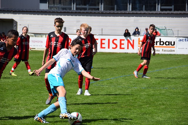 表现证明了 表现证明了