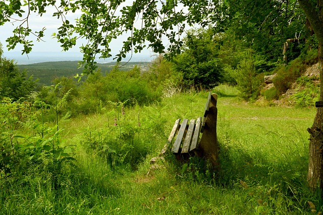 吉鲁退役时间 吉鲁渴望圆梦欧洲杯.