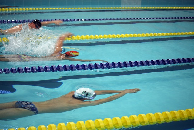 的顶级联赛 的顶级联赛