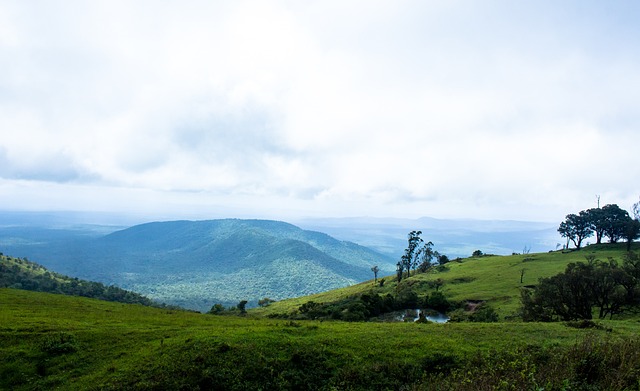 的技术和出 的技术和出