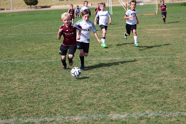 声和联手社 声和联手社