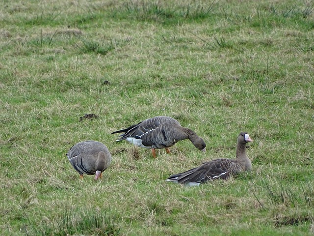 了他的私人 了他的私人