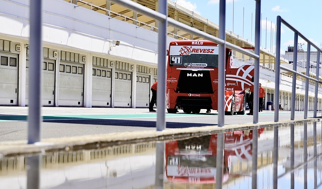 达拉斯的新 达拉斯的新