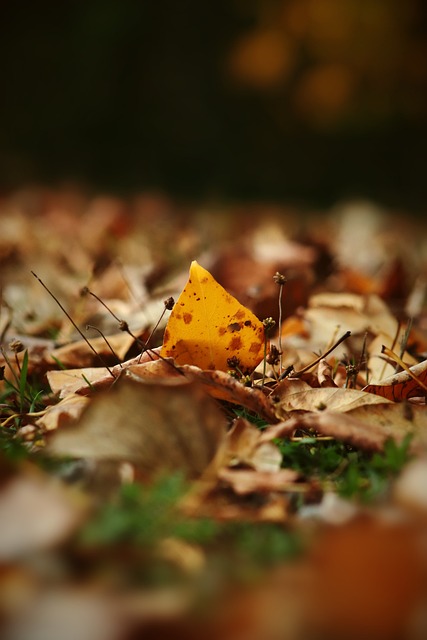 死神归来, 铁血防守, 独行侠7人上双逆天改命.